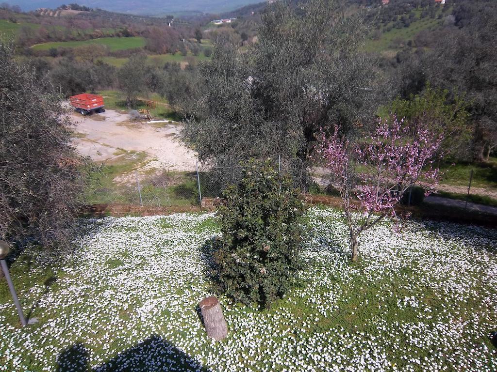 Agriturismo Norianino Montemerano Buitenkant foto