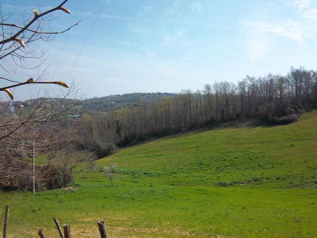 Agriturismo Norianino Montemerano Buitenkant foto